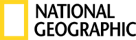 Partner 12